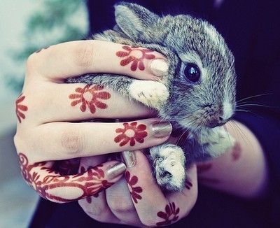 Tagged as bunny rabbit cute hands henna henna tattoo