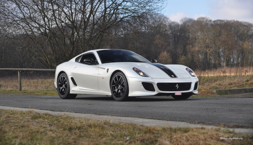 Ferrari 599 GTO by Willem Rodenburg on Flickr Posted 1 month ago 88 notes