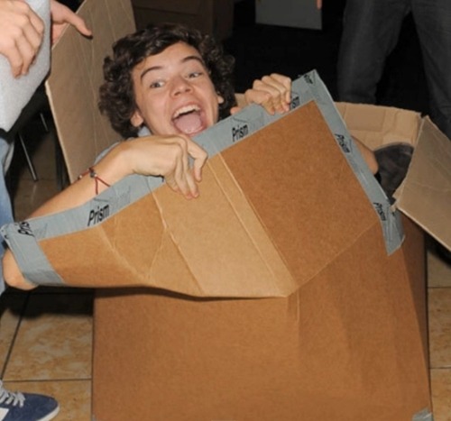 Let's all take a moment to appreciate this lunatic that is Harry Styles