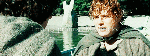 made a promise, Mr. Frodo. A promise. â€˜Donâ€™t you leave him ...