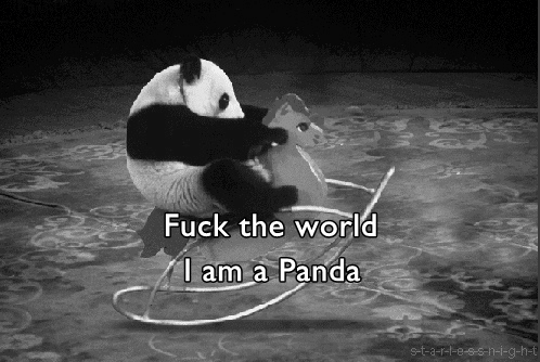 Fuck the world I am a Panda
