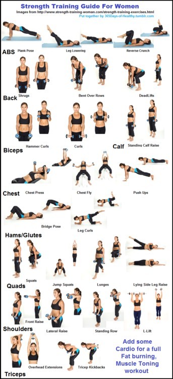 Strength Training Guide