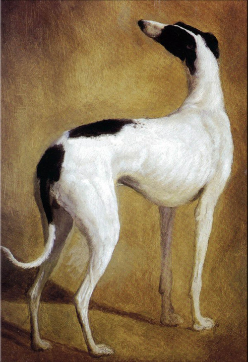 Jacques Laurent Agasse (1767-1849), Study of a Greyhound, n.d.