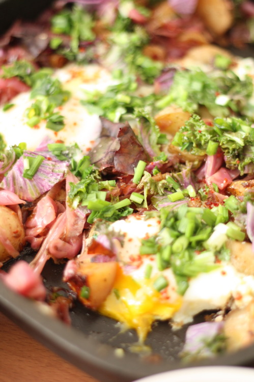 a colorful breakfast skillet&#8230; for dinner! herbed fingerling potatoes pan fried with sauerkraut, purple kale, chives, and a couple of runny nested eggs. 

quarter the potatoes (or cut the tiny ones in half) and roast on an oiled pan with plenty of salt, pepper and herbs - fresh or dry. once potatoes are cooked through and golden brown, set aside and saute the sauerkraut for about ten minutes to bring out its deep earthy flavor. toss the potatoes back in the pan, making a few holes for the eggs. crack an egg in each nest, keeping the yolks in tact. sprinkle with chopped kale and cover, allowing the eggs to cook - just a minute or two if you like them runny like i do, or a little longer if you prefer them well done. remove from heat and sprinkle with fresh chives and  a pinch of red pepper powder or cayenne. this dish is so pretty, don&#8217;t bother trying to serve it on individual dishes&#8230;  eat your breakfast (or dinner in this case) korean style and share it straight from the skillet!