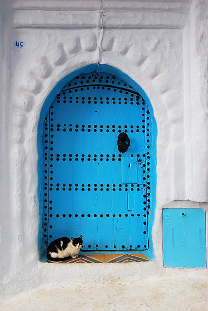 terenaina:

“Door”, Chefchaouen, Morocco by Andy Drake on Flickr.
