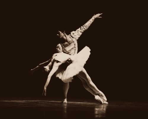 obsessivedancingdisorder:

Swan Lake
The Royal Ballet
