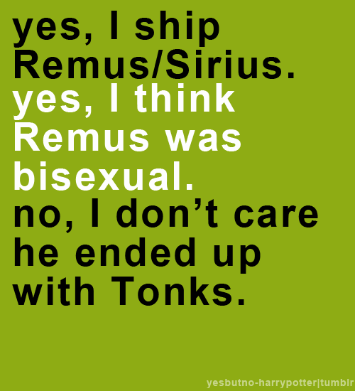 yes, I ship Remus/Sirius. yes, I think Remus was bisexual. no, I don&#8217;t care he ended up with Tonks.