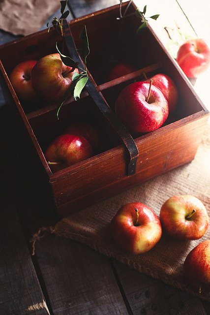mariwo013:

apples by hannah * honey &amp; jam on Flickr.
