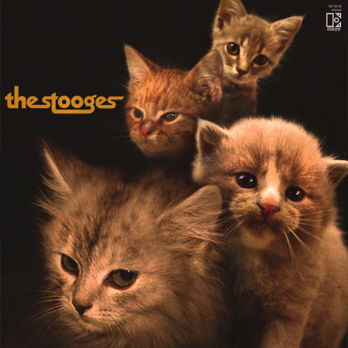 The Mewges