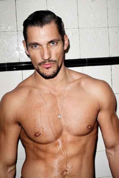 Fansite dedicated to the most amazing David Gandy