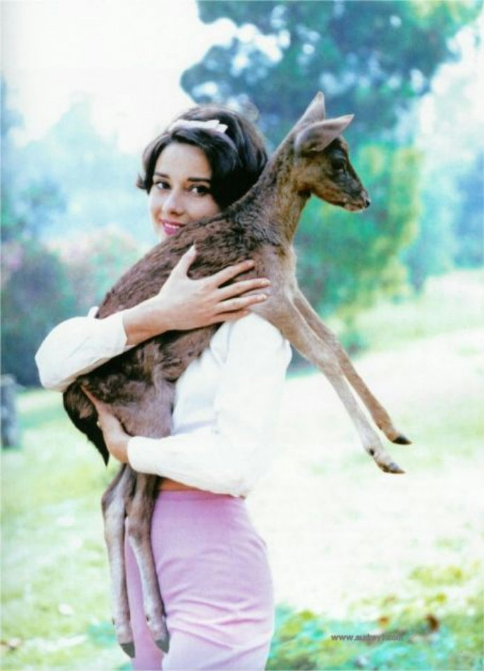Audrey Hepburn and her pet deer Pip