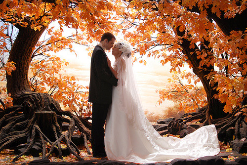 Fall wedding themes can range anywhere from reds and yellows to purples and