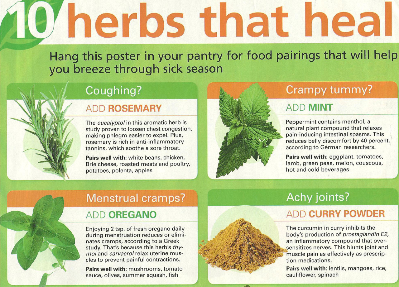 Heal Herbs Healing Natural Healing Dancequeen1284  E2 80 A2