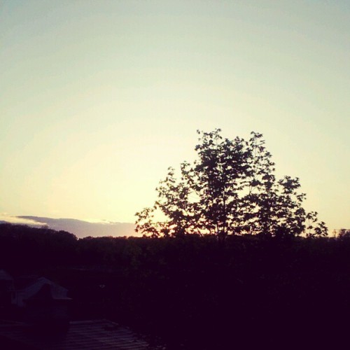 Sunset (Taken with instagram)