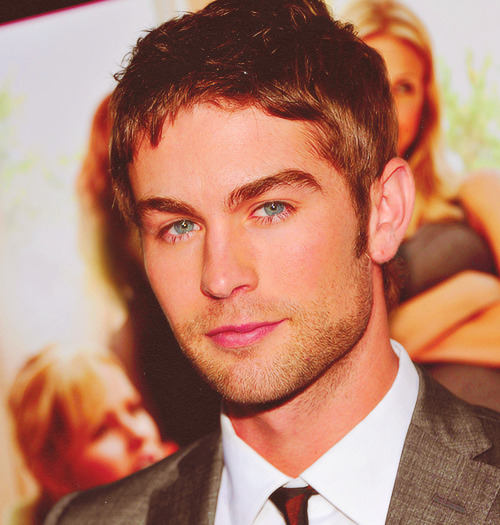 Chace Crawford at the What To Expect When Your Expecting New York Premiere