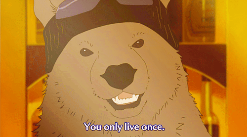 LOL anime yolo Grizzly !!my gifs shirokuma cafe Polar Bear Cafe
