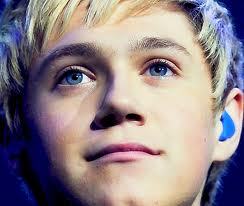 Day 23: Member with the nicest eye colour. Niall Horan