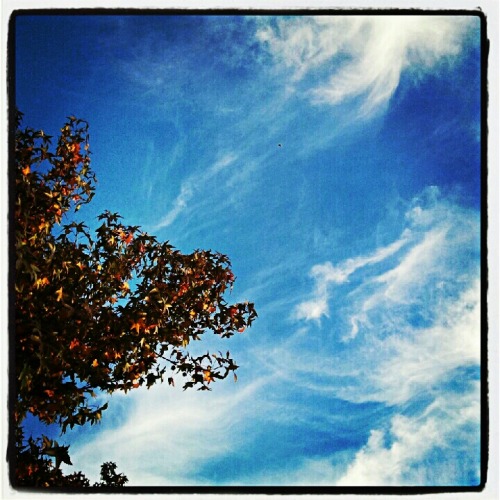 May 19, 2012. Autumn sky.