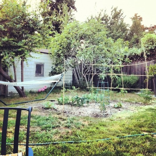 Ghetto yard is coming (Taken with instagram)