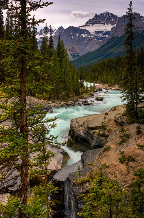 woodendreams:

 (by JoLoLog)
