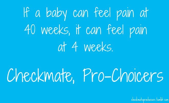 if a baby can feel pain at 40 weeks, it can feel pain at 4 weeks.