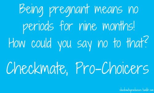 being pregnant means no periods for nine months. how could you say no to that?