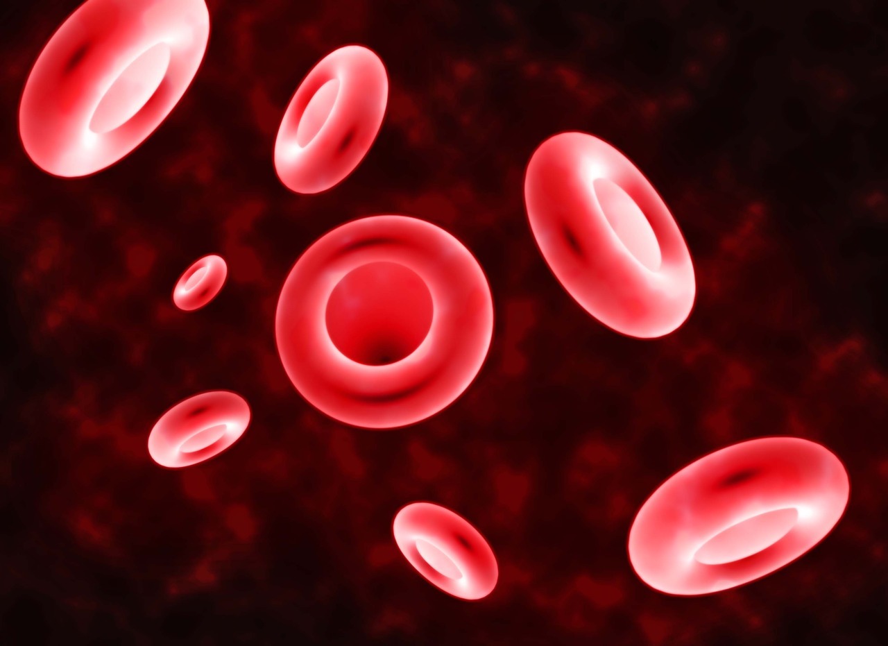 blood cell wallpaper