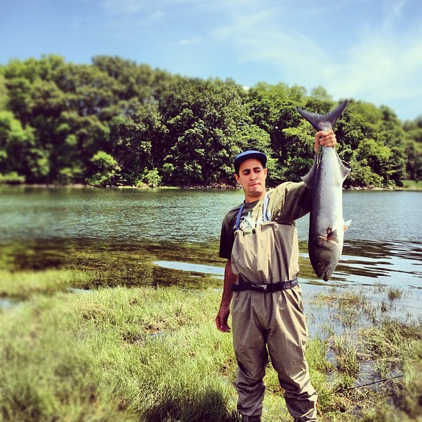 themarbletrout:

Blue fish on a popper (Taken with Instagram at City Island)

I know that cove. 
Nice gator