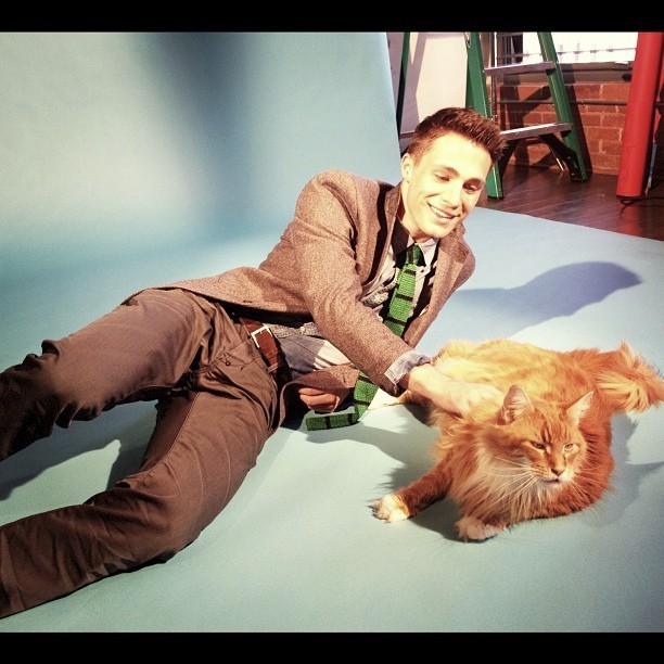 Colton: &#8221;Had the coolest shoot today with a massive Maine Coon&#8230;gonna be a killer Cover.&#8221;