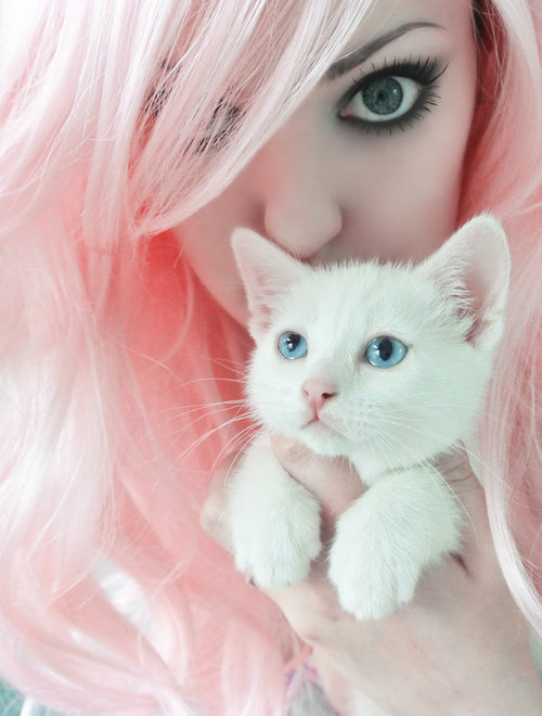 photography hair girls girl people cute adorable fashion eyes kawaii style kitten makeup pink pastel kittens pastel goth 