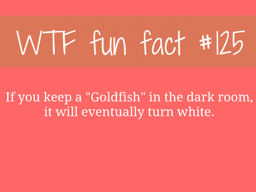 MORE OF WTF FUN FACTS , here :)