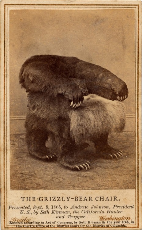 steroge: Председатель Grizzly Bear - одна из нескольких президентских стулья из Калифорнии охотник / охотник Сет Кинман (1815-88), представленный президента Эндрю Джонсона 8 сентября 1865: Это [стул] должна была превзойти все его предыдущие усилия, и был сделан из двух медведей гризли захвачен Сет.  Четыре лапы и когти были те, огромный гризли и сзади и по бокам украшены огромными когтями.  Сиденье было мягким и чрезвычайно удобны, но интересная особенность кафедры было то, что, касаясь мозга, голова чудовища медведя гризли с челюстями расширена, будут дротиком в передней из-под сиденья, щелкая и скрежет зубами, как естественно, как жизнь.  Маршалл Р. Anspach<br /><br />