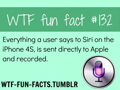 MORE OF &#8220;WTF-FUN-FACTS&#8221;  CLICK HERE
