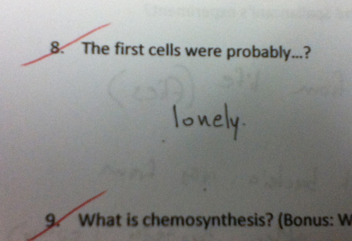 Kids write some funny test *