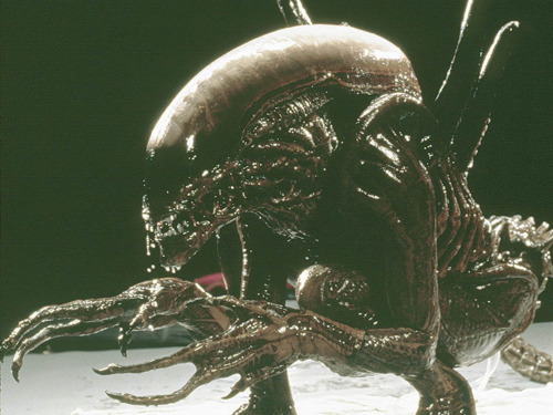 Film Creature Costume Alien Ridley Scott 1979 Filmmaking Xenomorph