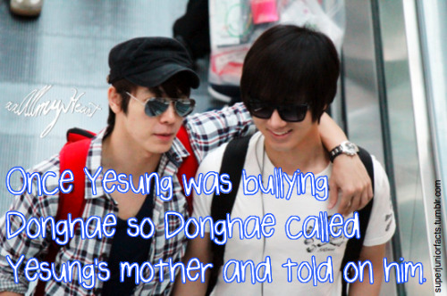 &#8220;Once Yesung was bullying Donghae so Donghae called Yesung’s mother and told on him.&#8221;