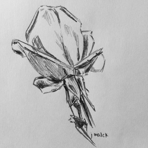 flowers pencil