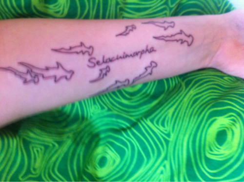 My tattoo!! And yes, I will fill the sharks out.. But not sure yet if I want them in color or black..