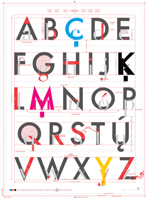 The Alphabet of Typography
