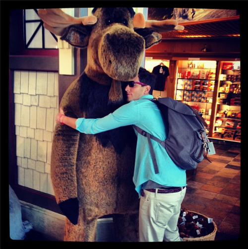 Moose is my spirit animal - Gabe http://instagram.com/p/M3jSG9w8KA/