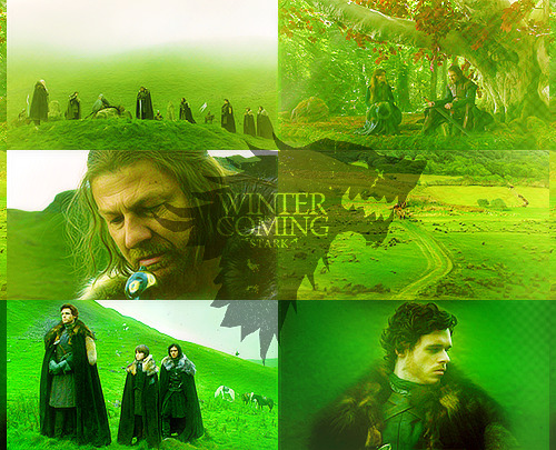  House Stark (boys) + green  » requested by anonymous 