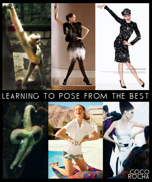 PART TWO:  People ask me where I learned to pose&#8230;