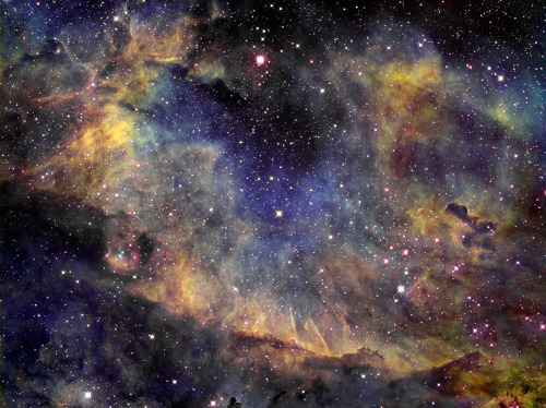 IC1318

LB-0005 image in narrowband Hubble palette This is a less often photographed region of the Cygnus nebula that is just south of the popular &#8220;butterfly&#8221;.