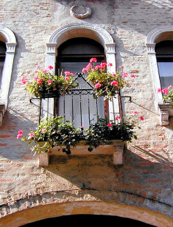 ysvoice:

| ♕ |  Balcony of Palazzo - Toreviso, Italy  | by © Aldo Furlanetto
