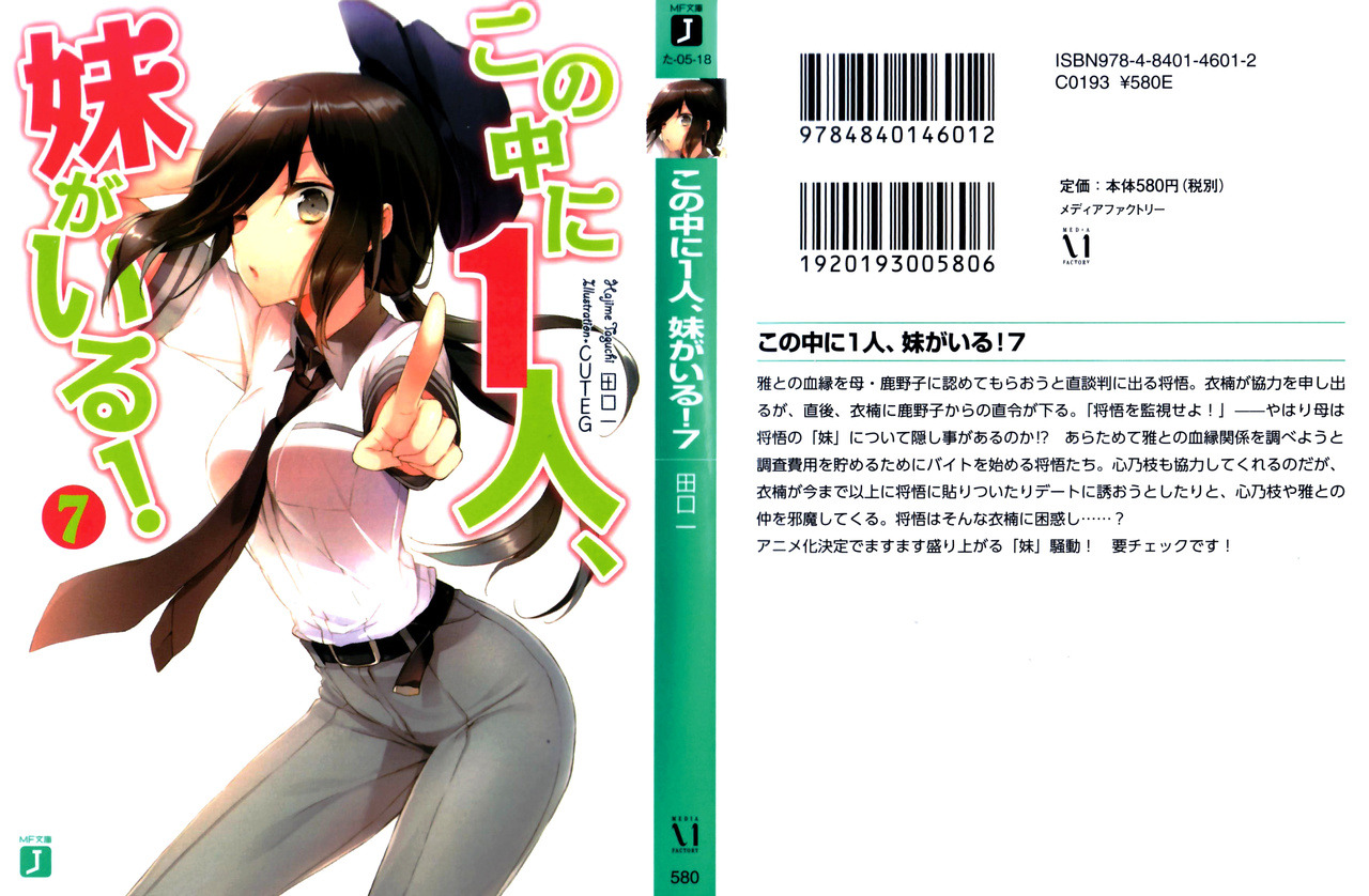 Love, Chunibyo & Other Delusions Light novel Vol.1-4 Complete Full Set
