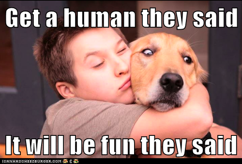 ... meme #dog meme #animal meme #lol wut #lol #funny #memes #funny meme