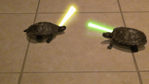 Turtle Wars!