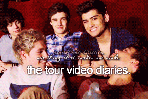a 1D memory that makes me smile: the tour video diaries