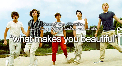 a 1D memory that makes me smile: what makes you beautiful