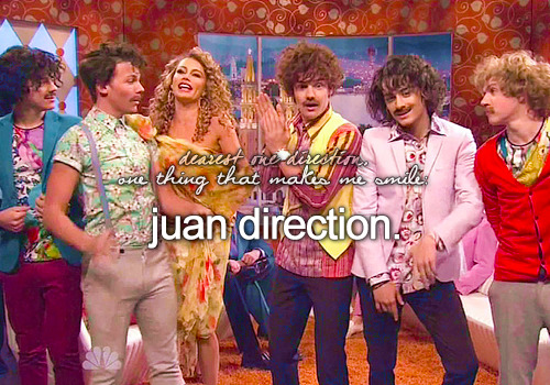 a 1D memory that makes me smile: 1D on SNL
